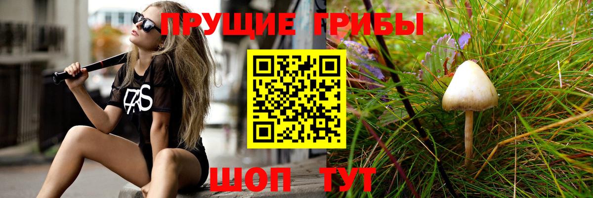 где найти   Вход с VPN  Санкт-Петербург  Псилоцибиновые грибы Magic Shrooms 