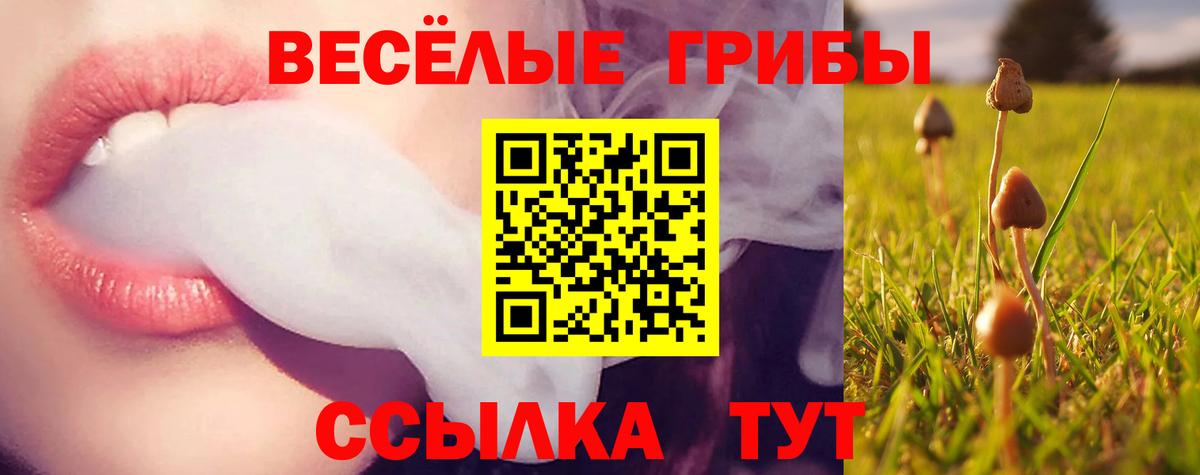 Псилоцибиновые грибы мухоморы Санкт-Петербург